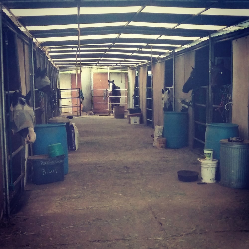 Boarding at KP Stables